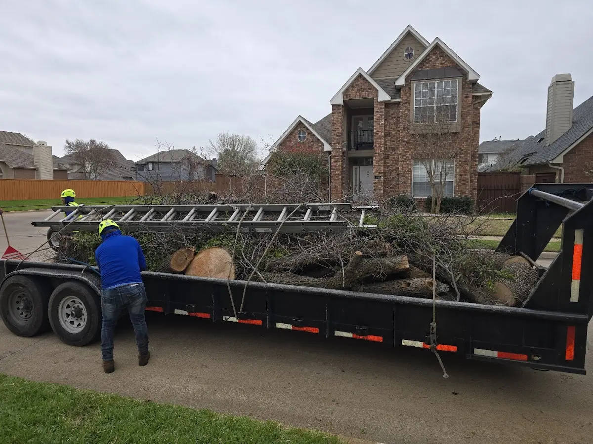 Expert Tree Fertilization with proper safety equipment in River Edge